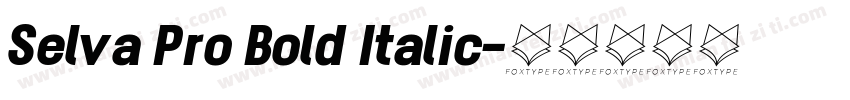 Selva Pro Bold Italic字体转换
